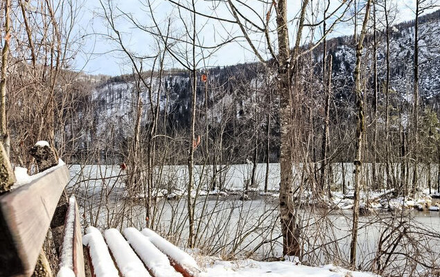 Fuchsbau/Top 2 - Photo 27