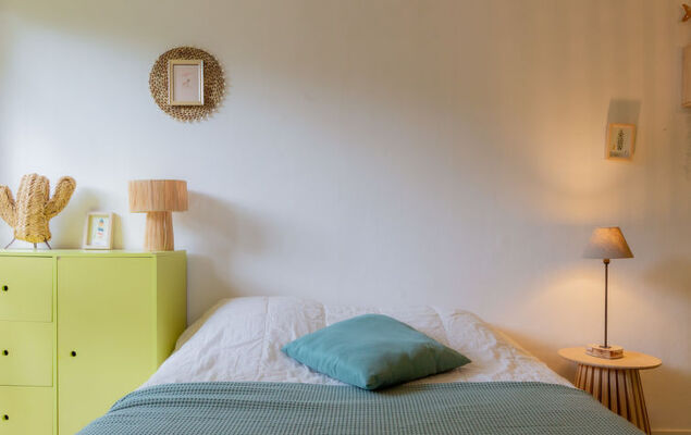 Pyrénées - Photo 20