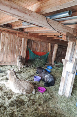 Weissbachergut - Photo 33