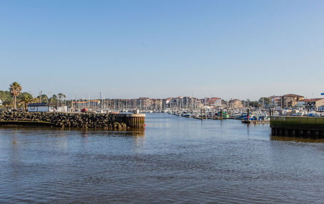 Les Terrasses Notre Dame du Port - Photo 22