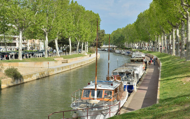 Les Platanes - Photo 24