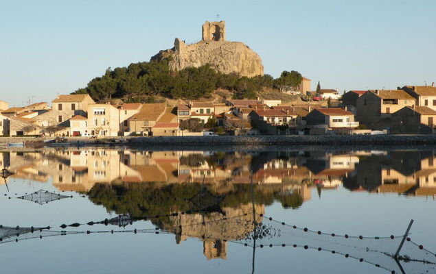 Les Amandines - Photo 20