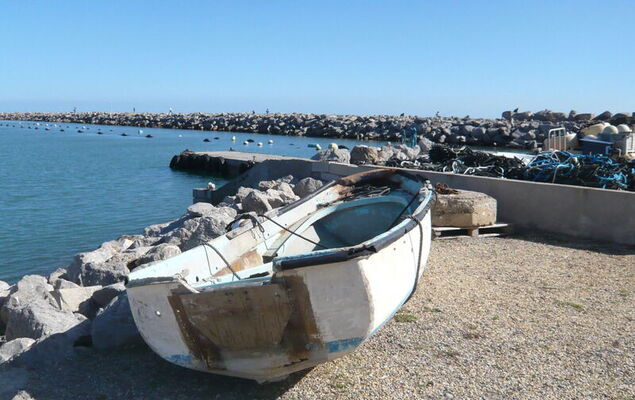 Les Amandines - Photo 21