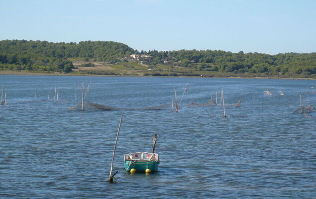 Les Amandines - Photo 24