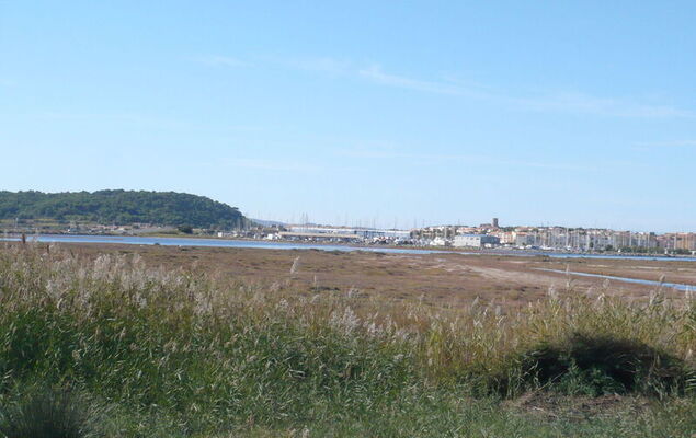 Les Amandines - Photo 26