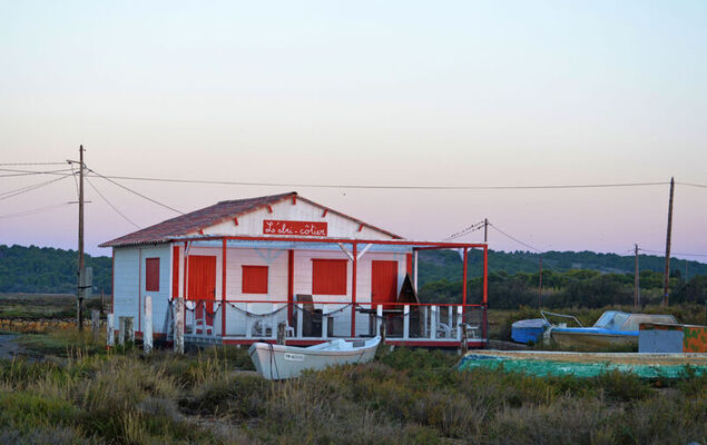 Les Amandines - Photo 32