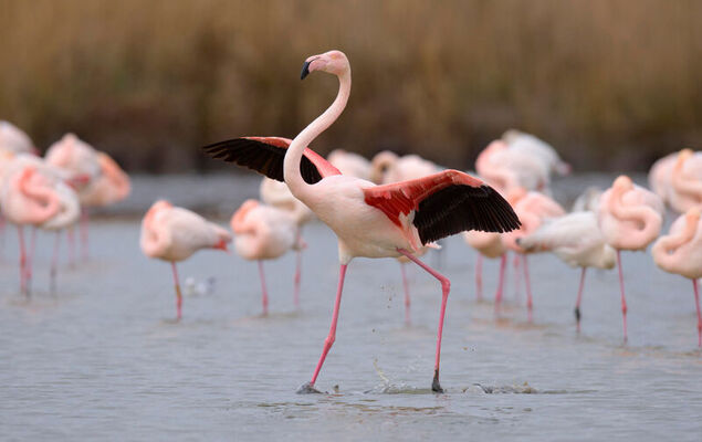 Escale Plage - Photo 14