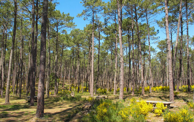 Jade et Elena - Photo 27