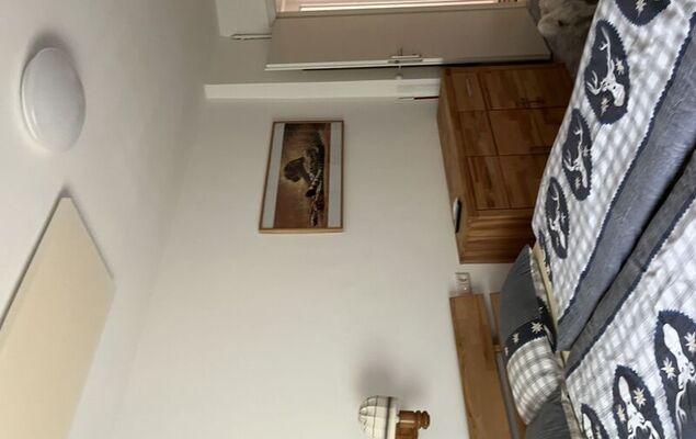 Bungalow Leopoldau - Photo 32