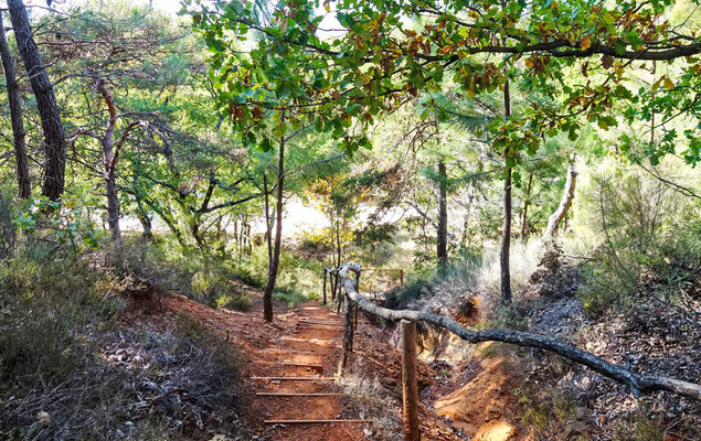 La Colline des Ocres - Photo 15